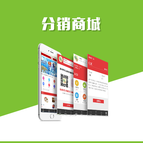 海口高端网站定制中的品牌形象塑造