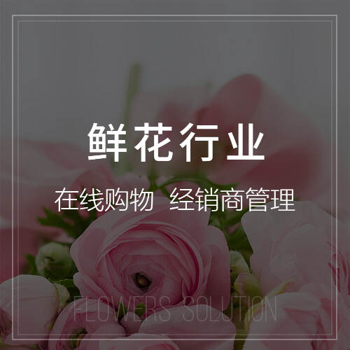 海口政府网站定制的安全性与合规性要求