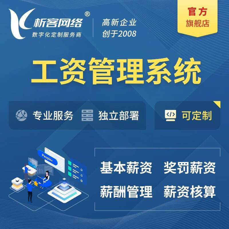 海口ERP系统定制的成本与效益分析